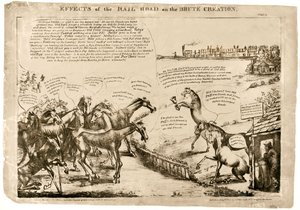 Effets de la voie ferrée sur la Brute Création n° 2 - Unknown artist