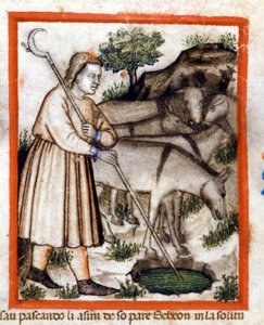 Esa fait paître des ânes - le Pentateuque. Miniature du codex 212 (ou codice padovano ou Bible de Padoue) 1390-1400 Rovigo, Accademia dei Concordi - Unknown artist
