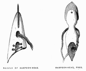 Harpons esquimaux - Elisha Kent Kane, Exploration Arctique en 1853-1855, Philadelphie, Childs et Peterson - Unknown artist
