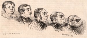 Évolution d