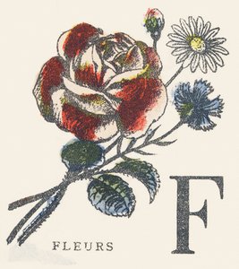 F: fleurs