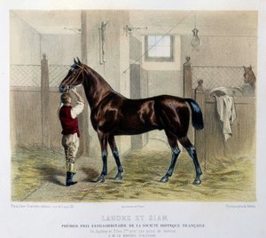 Chevaux de course célèbres dans « Le Centaure » 1866 - Unknown artist