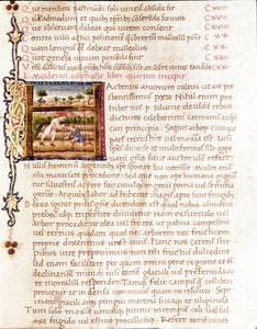 Paysans plantant des vignes (miniature) - Unknown artist