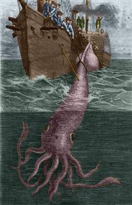 Pêche d