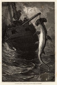 Pêche d