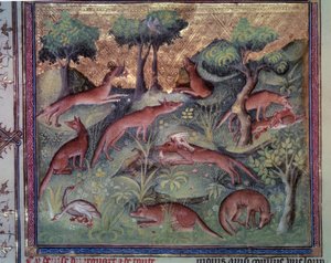 Chasse au renard. Miniature du manuscrit « Le livre de la chasse » (folio 34v) par Gaston Phébus (1331-1391) dit Gaston III Comte de Foix - Unknown artist