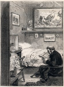 Cabine de l