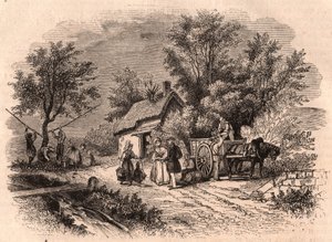 Récolte de pommes en Normandie, France - Unknown
