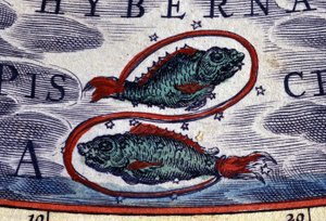 Horoscope : signe du zodiaque, Poissons. Gravure du 16ème siècle - Unknown artist
