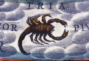 Horoscope : signe du zodiaque, le Scorpion - Unknown artist