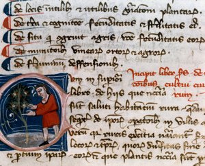 Horticulture : récolte de fruits (détail). Page de manuscrit (MS.s.vi) "Traité d