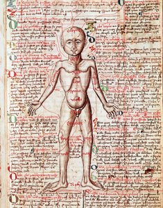 Corps humain (gravure du « Tractatus de pestilentia ») - Unknown artist