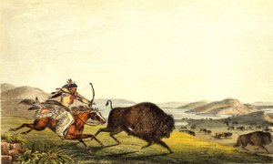 Chasse au bison en Amérique du Nord. XIXe siècle.