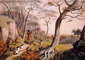Chasse aux faisans en Angleterre. Gravure du 19ème siècle. Gien, musée de la chasse - Unknown artist