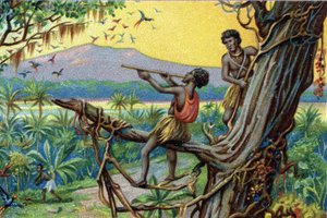 Technique de chasse. Chasse aux colibris dans l