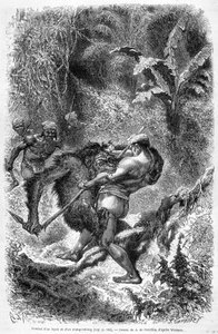 Illustration publiée dans l