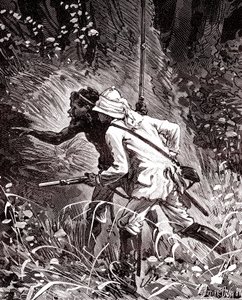 Dans les champs de caoutchouc (Hevea) dans la jungle de Guyane - Unknown artist