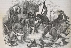 Indiens de l