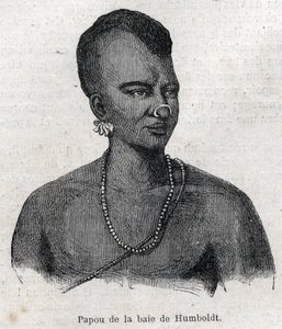 Peuples indigènes de Nouvelle-Guinée : Papou de la baie de Humboldt. Gravure dans "L