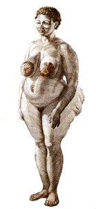 La Vénus Hottentote, femme de la race Bochiman, gravure de 1815.