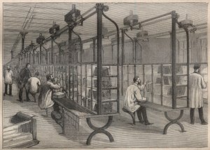 La poste aux lettres : le triage des plis à l