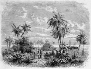 Maison de Livingstone à Zanzibar - «Le dernier voyage de Livingstone 1866-1873» dans «Le Tour du Monde», 2ème semestre 1875 - Unknown artist