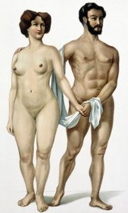 Homme et femme - livre de médecine, fin XIXe siècle - Unknown artist
