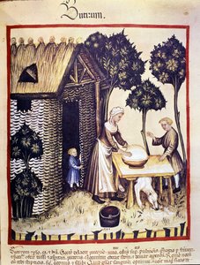 Fabrication du beurre. Enluminure du « Tacuinum sanitatis » - Unknown artist