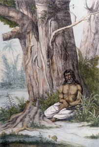 Méditation au pied d