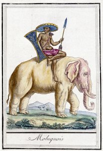 Homme moluquois sur un éléphant (Îles Moluques, Indonésie).