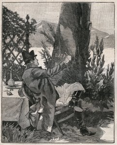Napoléon Bonaparte (1769-1821) a écrit le mot « Battaglia » sur le tronc d