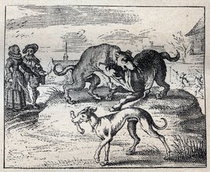 Vieux proverbe anglais : deux chiens se battent pour un os et le troisième l