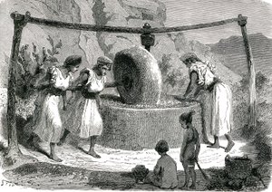 Moulin à olives en Algérie 1885 - Unknown artist