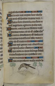 Page du Psautier de la Reine Marie - Unknown Artist