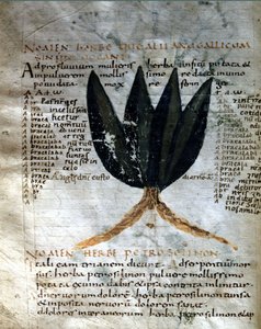 Page du manuscrit d