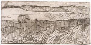 Paysage rayé