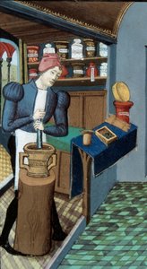 Pharmacie : un apothicaire, la cueillette des plantes et la préparation des médicaments (détail) - Unknown artist