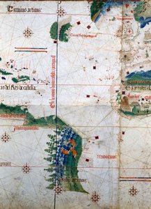 Planisphère de Cantino : Carte d