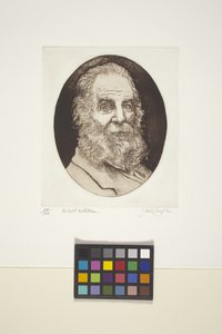 Portrait de Walt Whitman - Unknown artist