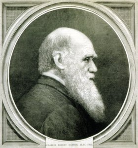 Portrait de Charles Darwin (1809 - 1882) - Unknown artist