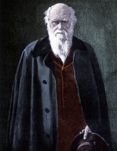 Portrait de Charles Darwin, naturaliste britannique (1809 - 1882)