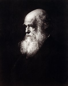Portrait de Charles Robert Darwin (1809 - 1882)