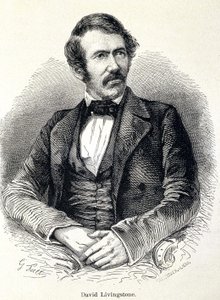 Portrait de David Livingstone, missionnaire écossais (1813-1873) - Unknown artist