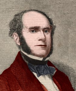 Portrait de Fitz-Greene Halleck (1790-1867), poète américain. Gravure dans The Illustrated London News du 23 janvier 1858. - Unknown artist
