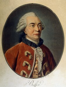 Portrait de Georges Louis Leclerc, Comte de Buffon (1707 - 1788), naturaliste et écrivain français. - Unknown artist