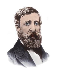 Portrait de Henry David Thoreau
