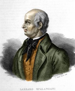 Portrait de Lazzaro Spalanzani, biologiste italien - Unknown artist