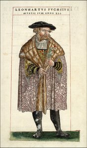 Portrait de Leonhart Fuchs : botaniste - médecin allemand (1501 - 1566) - dans « De Historia Stirpium commentarii badges,... » par Leonhart Fuchs - Unknown artist