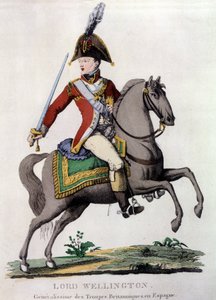 Portrait de Lord Wellington (1769-1852), général des troupes britanniques en Espagne - Unknown artist