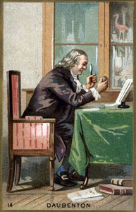 Portrait de Louis Jean Marie Daubenton, dit Daubenton (1716 - 1800), naturaliste français